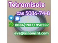 tetramisole-hcl-cas-5086-74-8-powder-small-0