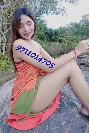 low-price-9711014705-call-girls-in-vivek-vihar-delhi-ncr-big-0