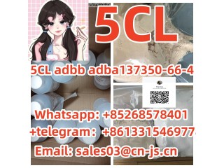 Special offer 5CL adbb adba137350-66-4