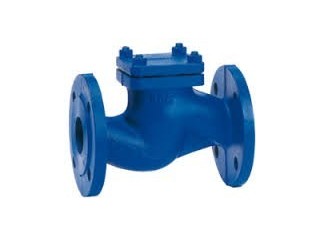 CHECK VALVES SUPPLIERS IN KOLKATA