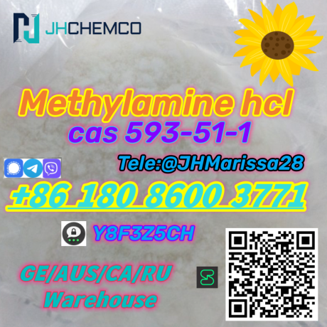 big-sale-cas-593-51-1-methylamine-hydrochloride-threema-y8f3z5ch-big-2