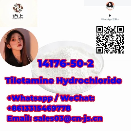 cheap-tiletamine-hydrochloride-14176-50-2-big-0