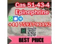 adrenaline-l-epinephrine-cas-51434-high-quality-small-1