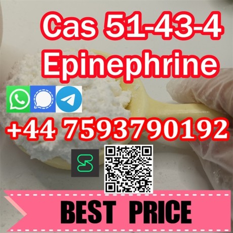 adrenaline-l-epinephrine-cas-51434-high-quality-big-2