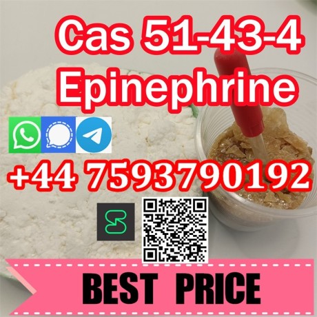 adrenaline-l-epinephrine-cas-51434-high-quality-big-0