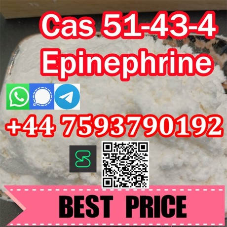 adrenaline-l-epinephrine-cas-51434-high-quality-big-1