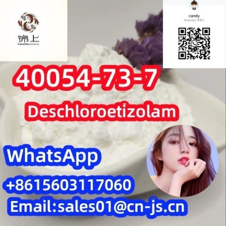 deschloroetizolam-cas40054-73-7-big-0