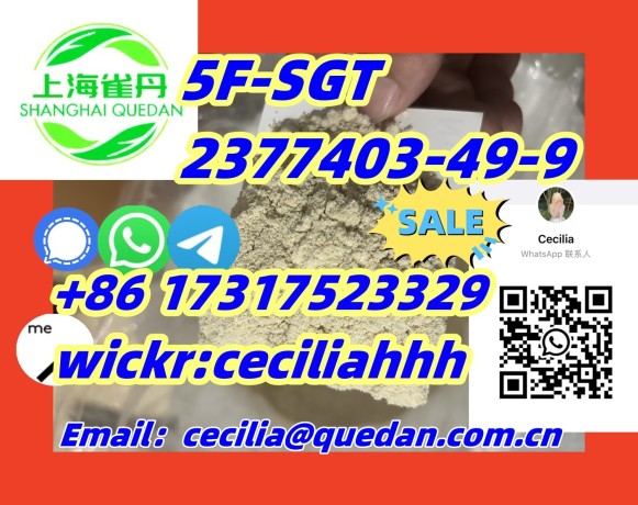 china-factoryof-5f-sgt-2377403-49-9-86-17317523329wickrceciliahhh-big-0