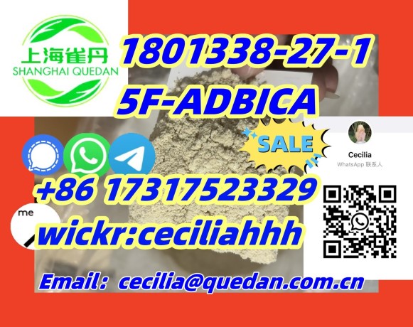 topsupplier-1801338-27-1-5f-adbica-86-17317523329wickrceciliahhh-big-0