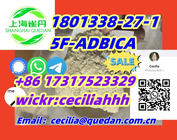 withbestpricefromchina-1801338-27-1-5f-adbica-86-17317523329wickrceciliahhh-big-0