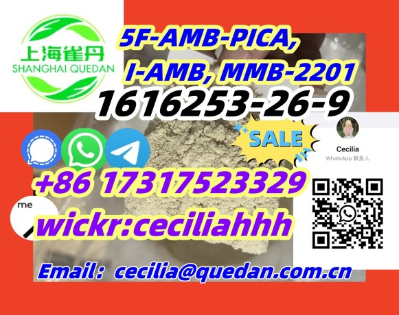 fastdelivery1616253-26-9-5f-amb-pica-i-amb-mmb-2201-86-17317523329wickrceciliahhh-big-0