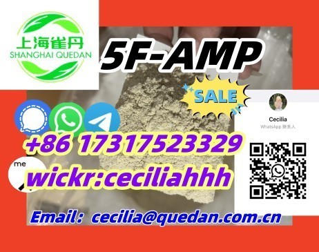 chinamanufacturer-5f-amp-86-17317523329wickrceciliahhh-big-0