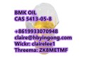 in-stock-bmk-oil-cas-5413-05-8-small-2