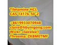 high-quality-tiletamine-hydrochloride-tiletamine-hcl-cas-14176-50-2-small-1