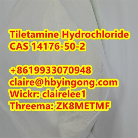 high-quality-tiletamine-hydrochloride-tiletamine-hcl-cas-14176-50-2-big-2