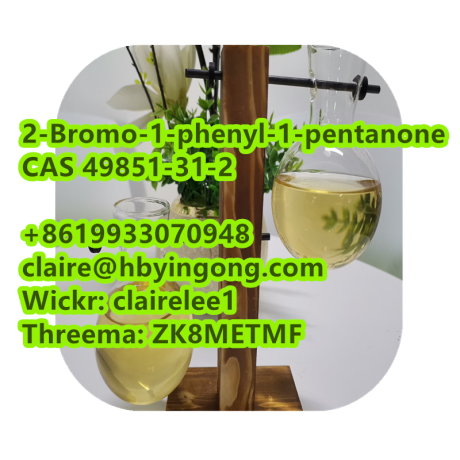 high-quality-2-bromovalerophenone-cas-49851-31-2-big-3