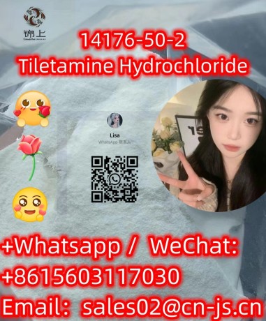 top-qualitytiletamine-hydrochloridecas14176-50-2-big-0