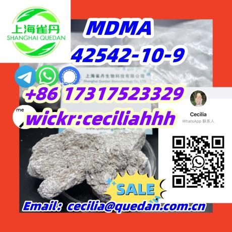 topsupplier-mdma-42542-10-9-86-17317523329wickrceciliahhh-big-0