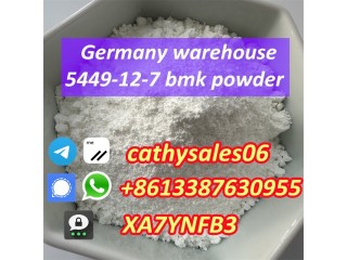 Comptitive price hot sales in holland New BMK 5449,Bmk powder CAS 16648-44-5