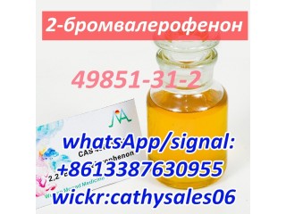 CAS 49851-31-2 2-Bromovalerophenone CAS 49851 31 2 China Reliable Supplier