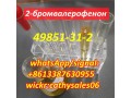 cas-49851-31-2-2-bromovalerophenone-cas-49851-31-2-china-reliable-supplier-small-1