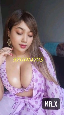 919711014705low-rate-call-girls-in-meera-bagh-delhi-big-0