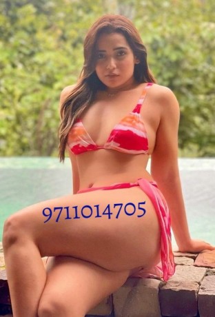 call-girls-in-mukherjee-nagar-delhi-call-us-9711014705-big-0