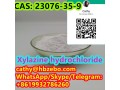 cas-23076-35-9-xylazine-hydrochloride-small-1