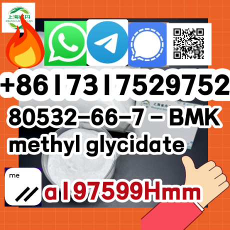 41232-97-7-bmk-ethyl-glycidate-spot-supply-big-0