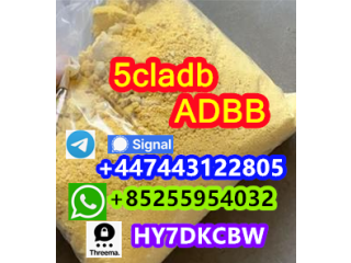 Original 5cladb CAS 137350-66-4 5cl precursor