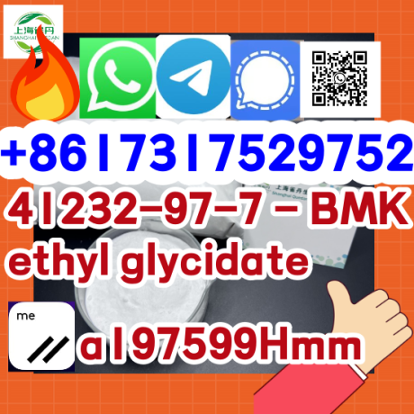 41232-97-7-bmk-ethyl-glycidate-80532-66-7-bmk-methyl-glycidate-big-0