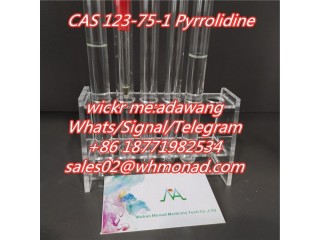 Sell Pyrrolidine CAS 123-75-1 China Supplier  to russia