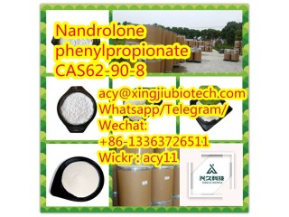 High Quality Nandrolone phenylpropionate CAS62-90-8