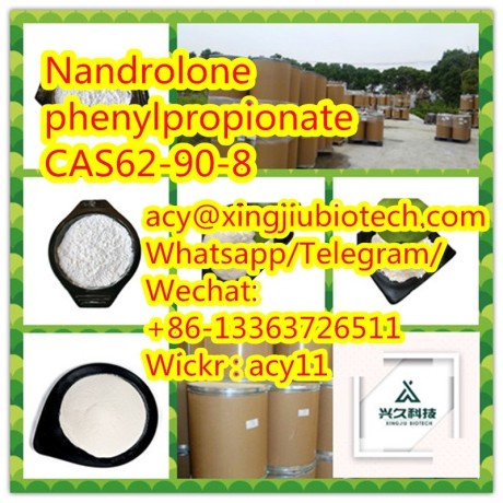 high-quality-nandrolone-phenylpropionate-cas62-90-8-big-0