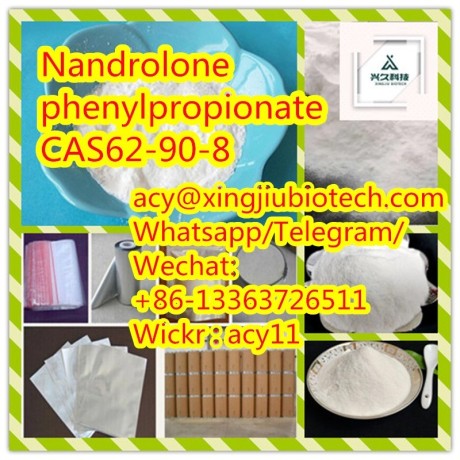 high-quality-nandrolone-phenylpropionate-cas62-90-8-big-1