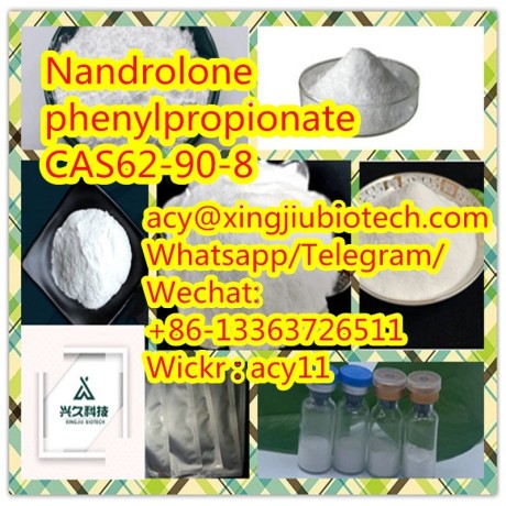 high-quality-nandrolone-phenylpropionate-cas62-90-8-big-3