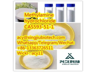 Top Quality Factory Supply 99% Methylamine hydrochloride CAS593-51-1