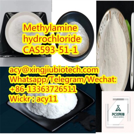 top-quality-factory-supply-99-methylamine-hydrochloride-cas593-51-1-big-1