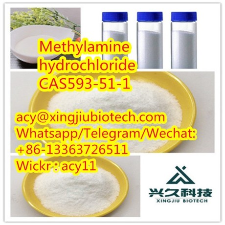 top-quality-factory-supply-99-methylamine-hydrochloride-cas593-51-1-big-0