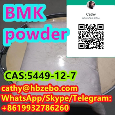 bmk-cas-5449-12-7-2-methyl-3-phenyl-oxirane-2-carboxylic-acid-big-2