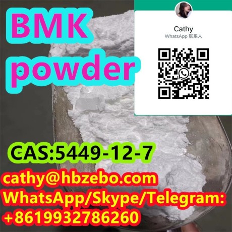 bmk-cas-5449-12-7-2-methyl-3-phenyl-oxirane-2-carboxylic-acid-big-0