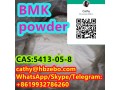 fast-delivery-bmk-cas-5413-05-8-ethyl-3-oxo-2-phenylbutanoate-small-0