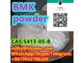 fast-delivery-bmk-cas-5413-05-8-ethyl-3-oxo-2-phenylbutanoate-small-2