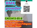 fast-delivery-bmk-cas-5413-05-8-ethyl-3-oxo-2-phenylbutanoate-small-1