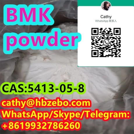 fast-delivery-bmk-cas-5413-05-8-ethyl-3-oxo-2-phenylbutanoate-big-0