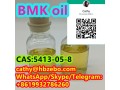 best-selling-product-bmk-oil-cas-5413-05-8-small-2