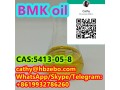 best-selling-product-bmk-oil-cas-5413-05-8-small-1