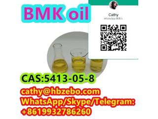 Best Selling Product BMK oil CAS 5413-05-8