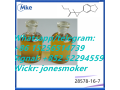 good-recipe-cas-28578-16-7-pmk-oil-pmk-ethyl-glycidate-small-2