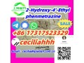 2-hydroxy-4-ethylphenmetrazine-2-ho-4-epm-2-hydroxyphenmetetrazine-n-ethylphenmetrazol-small-0